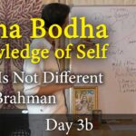 atma bodha - adi shankara lessons teaching