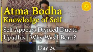 atma bodha discourses lessons