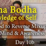 atman bodha - adi shankara self knowledge