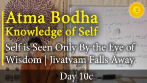 atma bodh - shankara teachings