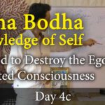 atma bodha lessons lectures