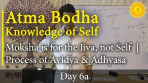 Atma Bodha verses translation