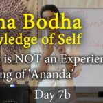 atma bodha discourses