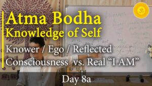 atma bodha lectures