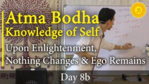 atma bodha text