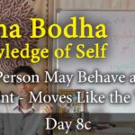 atma bodha study text commentary