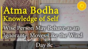 atma bodha study text commentary